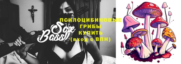 PSILOCYBIN Заволжск