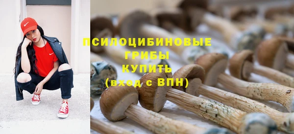 спайс Елабуга
