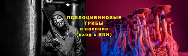 спиды Заводоуковск