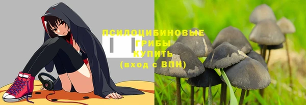 PSILOCYBIN Заволжск