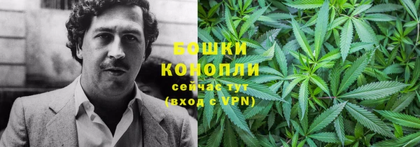 ГАЛЛЮЦИНОГЕННЫЕ ГРИБЫ Дмитровск