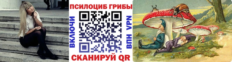 Купить закладки  Мелеуз  Псилоцибиновые грибы Magic Shrooms 